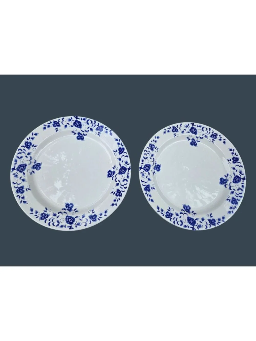 Set Of 2 Pier 1 Eliza Earthenware Dinner Plates Blue Floral Design Made In Italy